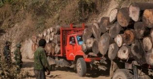 中国伐优发国际木机械 缅甸政府丁英丁英特区主