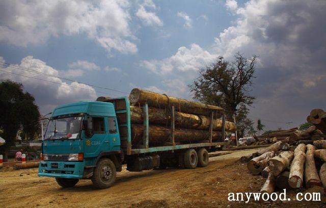 中国那些森林允许伐木_国产伐木机械_中国伐木机械
